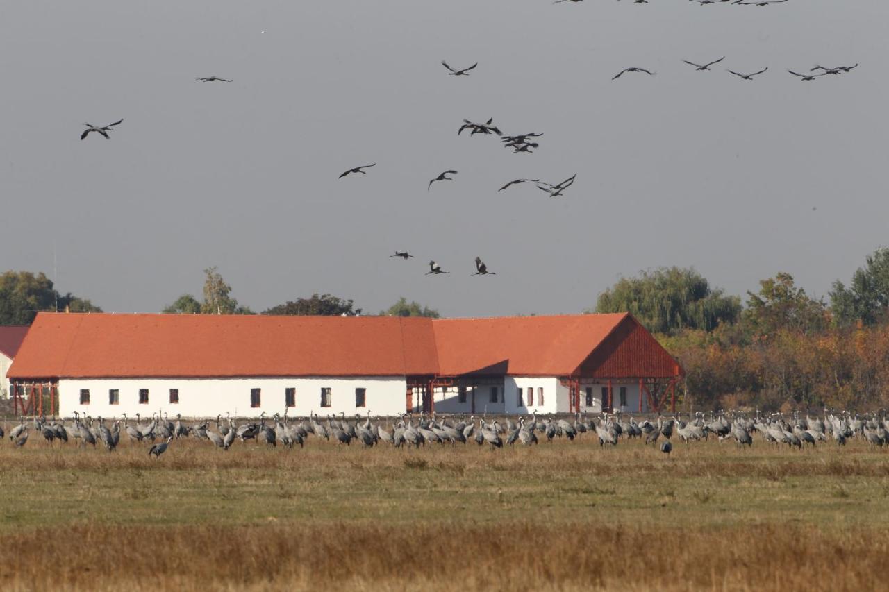 Balmazújváros Bibic Nature Lodge المظهر الخارجي الصورة