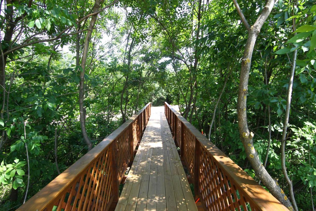 Balmazújváros Bibic Nature Lodge المظهر الخارجي الصورة