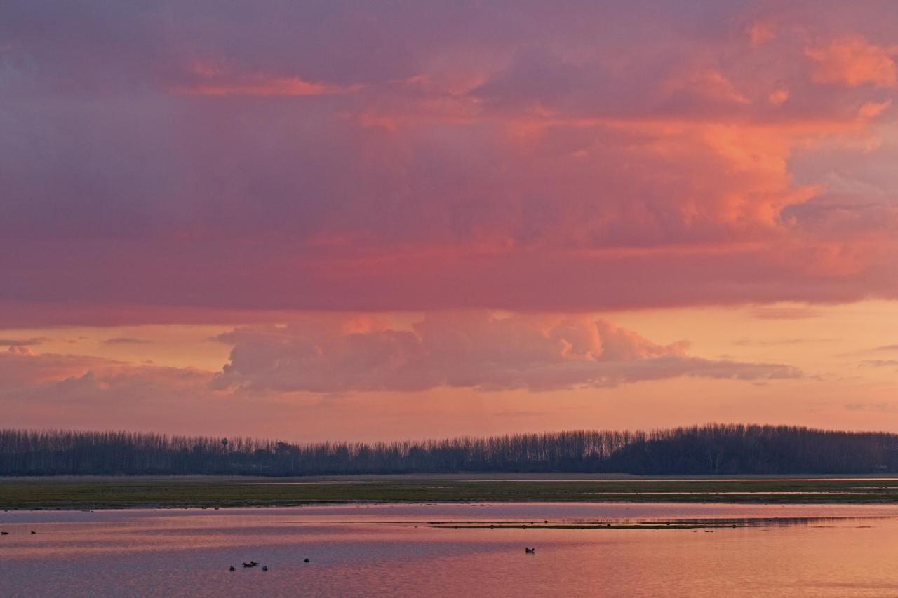 Balmazújváros Bibic Nature Lodge المظهر الخارجي الصورة